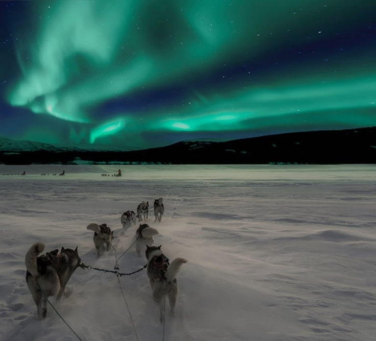 Rovaniemi: Northern Lights and Husky Sleigh Ride
