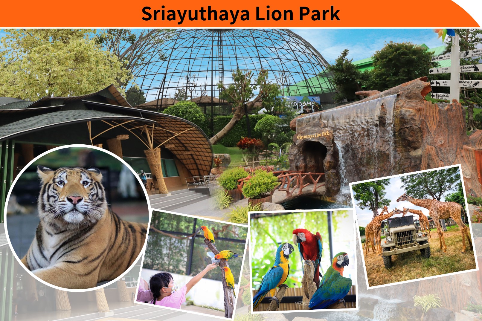The Historic City Of Ayutthaya And Sriayuthaya Lion Park Day Tour - HolidaySG