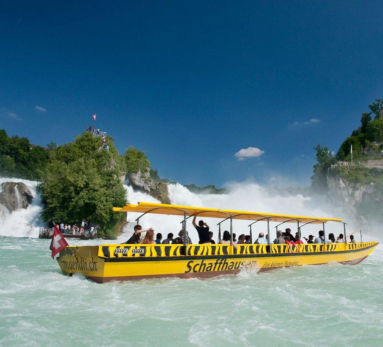 From Basel: Private Day Trip To Europe's Largest Falls