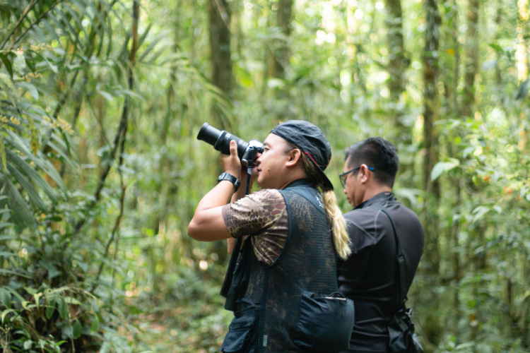 Full day / 2D1N Birding @ KNP & Poring - HolidaySG