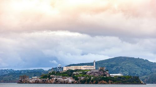 Coit Tower & Little Italy Landmark Walking Tour Day Tours
