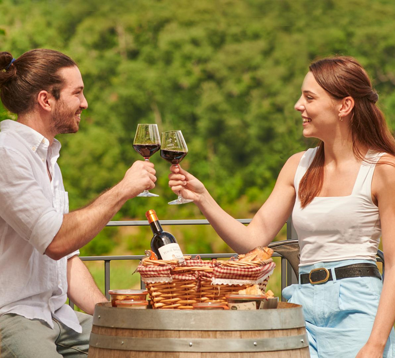 Saint-Emilion: Grand Cru Classé Guided Winery Visit & Picnic