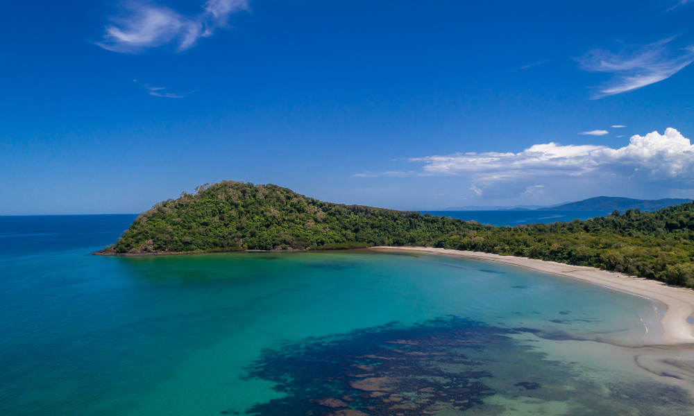 Cape Tribulation and Daintree Rainforest 4WD Day Tour