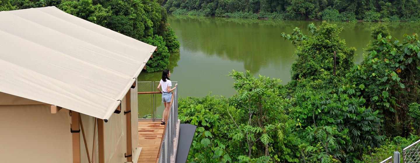 Colugo Camp
