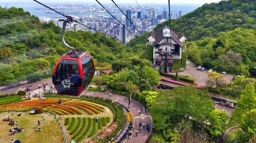 Kobe Half Day Tour with a Local: 100% Personalized & Private  Day Tours
