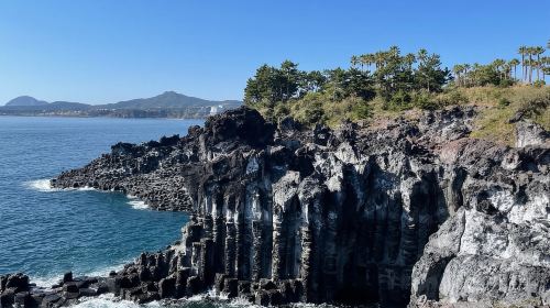 Jeju: Western and Southern Sightseeing Day Tour Day Tours
