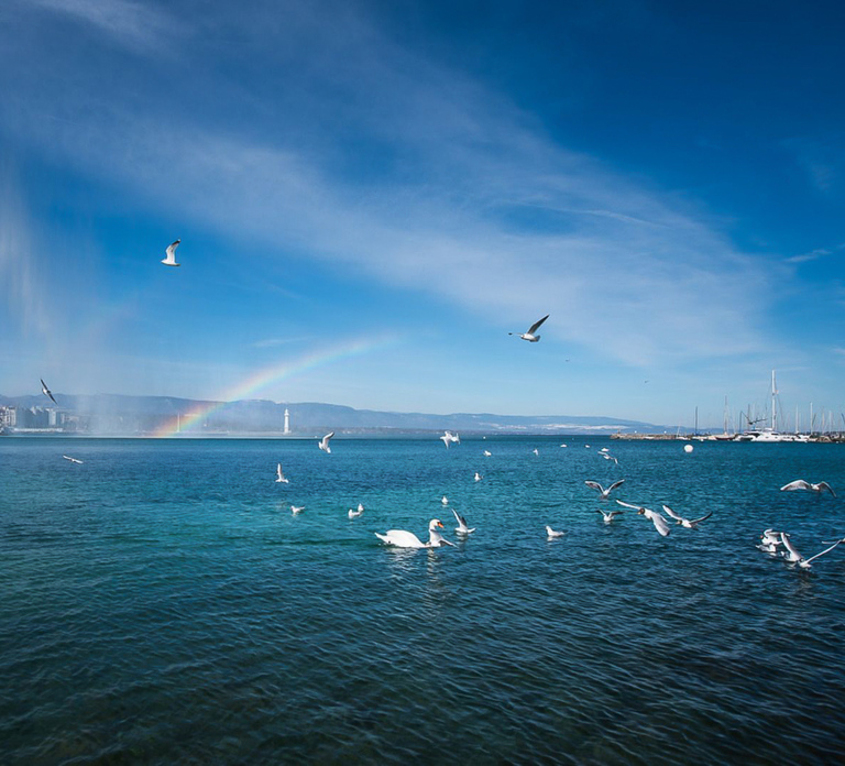 Geneva: Guided City Tour and Boat Cruise