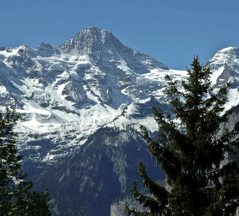 From Zurich: Jungfraujoch Guided Day Tour with Cogway Train
