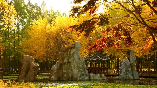 Nami Island + Petite France & Italian Village + Gangchon Railbike + The Garden of Morning Calm One Day Tour (From Seoul) Day Tours