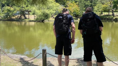 Nara City Tour | Explore Temples, Park & Local Highlights Day Tours