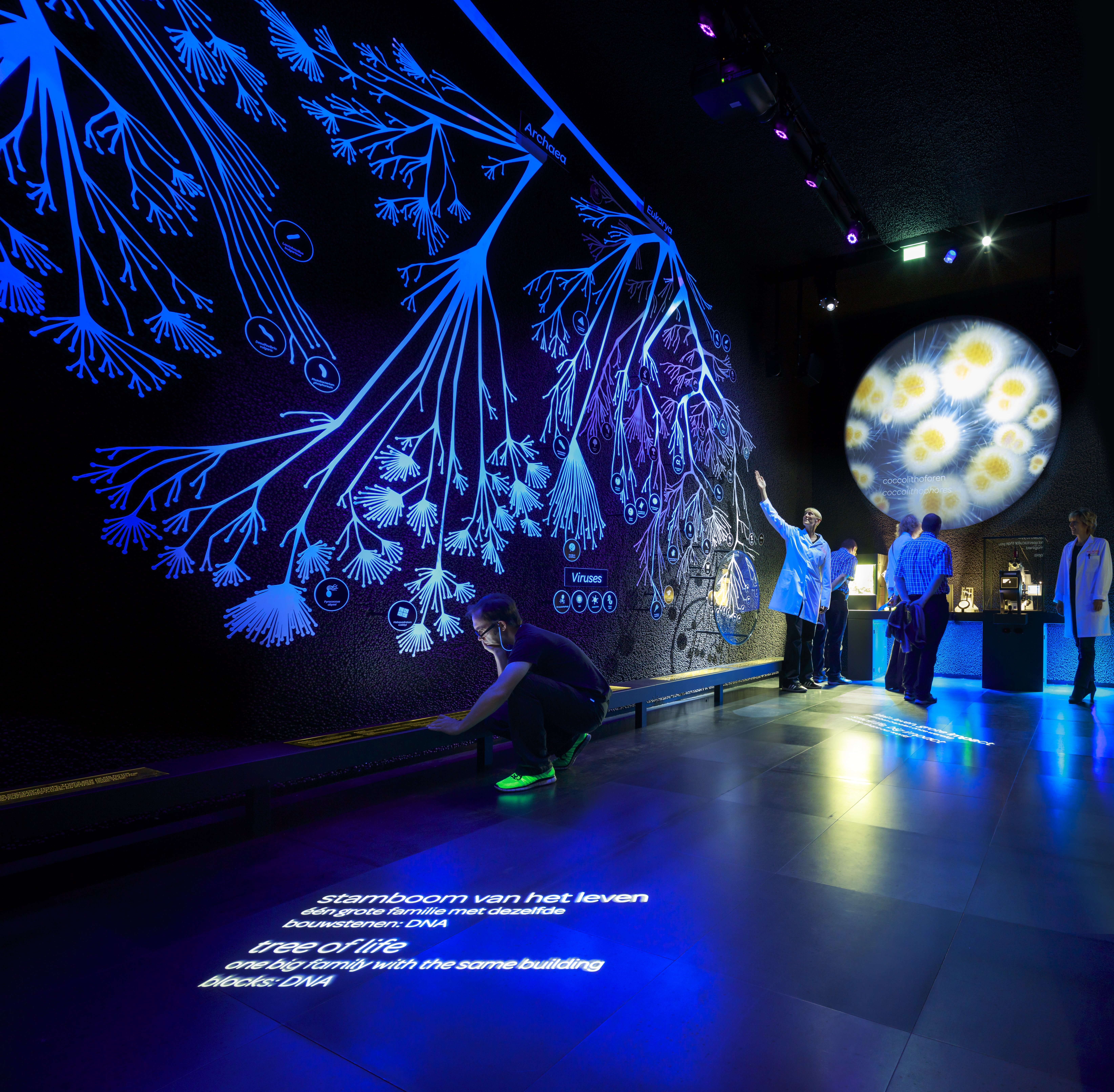 ARTIS Micropia: Entry Ticket