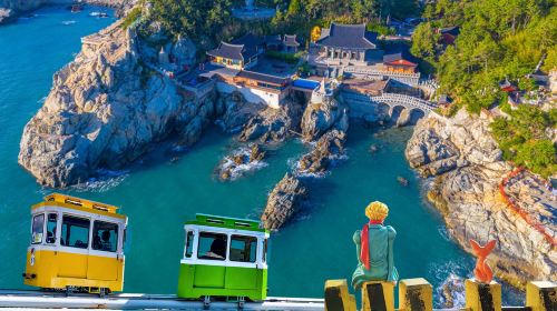 Departures from Busan|Haedong Yonggung Temple X Cheongsapo Skywalk X Blue Line Park Sky Capsule X Huinnyeoul Culture Village Day Tours