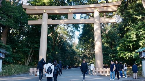 Tokyo Harajuku Tour: From Meiji Park to Takeshita St to Shibuya Crossing Day Tours