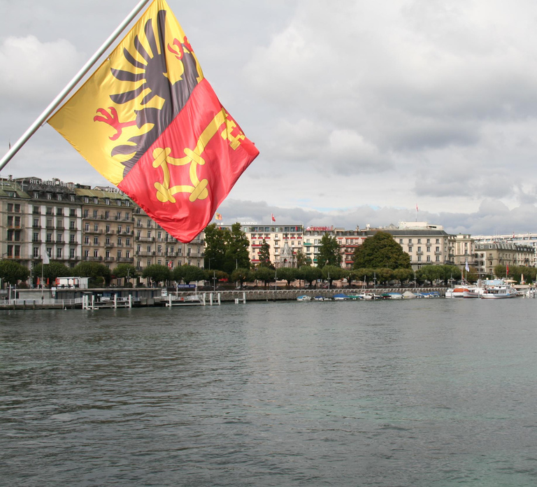 Geneva: Private Walking Tour with a Local Guide
