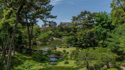 The Peace Memorial and Beyond: A Half-Day around Hiroshima Day Tours