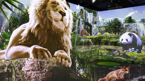 Magic Flow Wonder Park