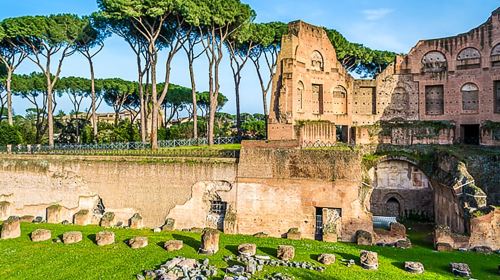 Rome: Guided Tour of Colosseum, Roman Forum & Palatine Hill Day Tours