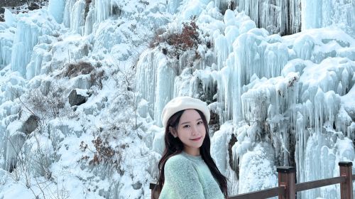 Eobi Ice Valley + Alpaca World + Nami Island + Gangchon Railbike One Day Tour (From Seoul, Winter Exclusive) Day Tours
