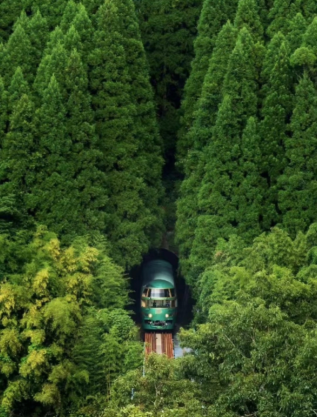 Kyushu-Oita Itinerary: Dazaifu Tenmangu Shrine & Beppu Ropeway & Yufuin | Fukuoka