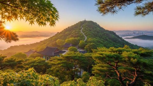 Seoul Sunrise & Sunset Hike + Temple & K-Food Adventure Day Tours