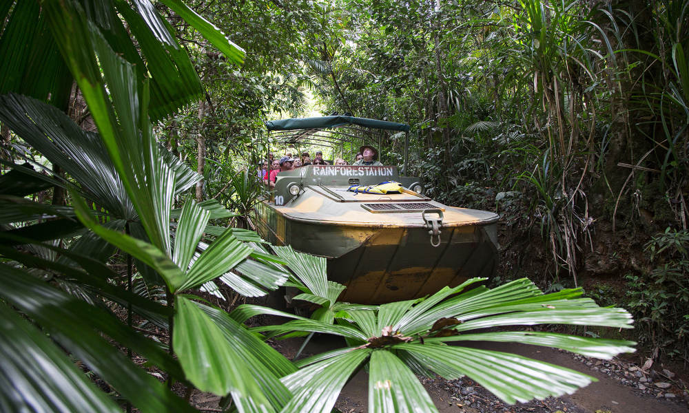 VQRS Rainforestation Nature Park