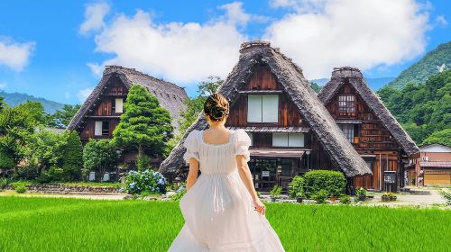 Japan Nagoya Hida Takayama and Shirakawa-go Gassho-zukuri Village day tour (optional 9-person group transfer) Day Tours