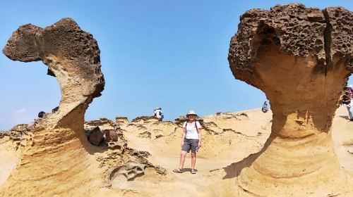 Half Day Private Tour to Yangmingshan National Park and Yehliu Geopark