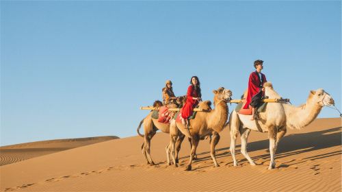 Dubai Desert Safari Camp 1-day Tour [Dune Bashing, Camel Riding, Camp BBQ, Overnight Stay & Stargazing] Day Tours