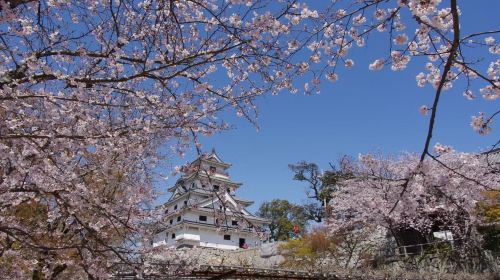Karatsu Castle generally