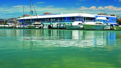 From Orlando: Clearwater Beach and Marine Aquarium Admission Day Tours