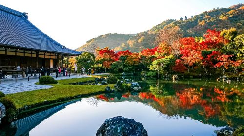 Kyoto1-Day Tour from Nagoya with Kobe Beef Shabu-Shabu Lunch