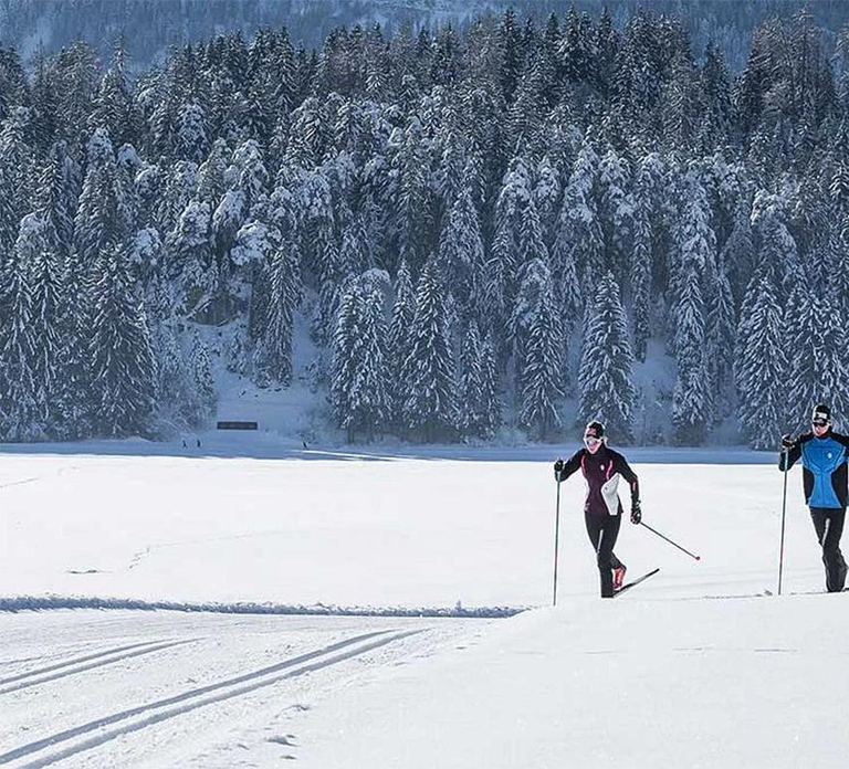 Rovaniemi: Cross Country Wilderness Ski Adventure