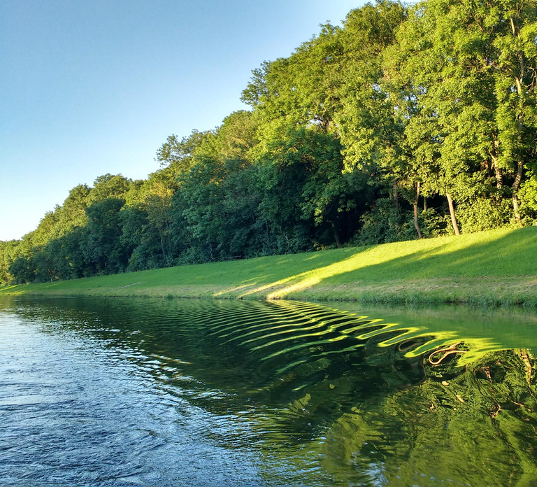 Leipzig: 2-hour Auwald Motorboat Tour
