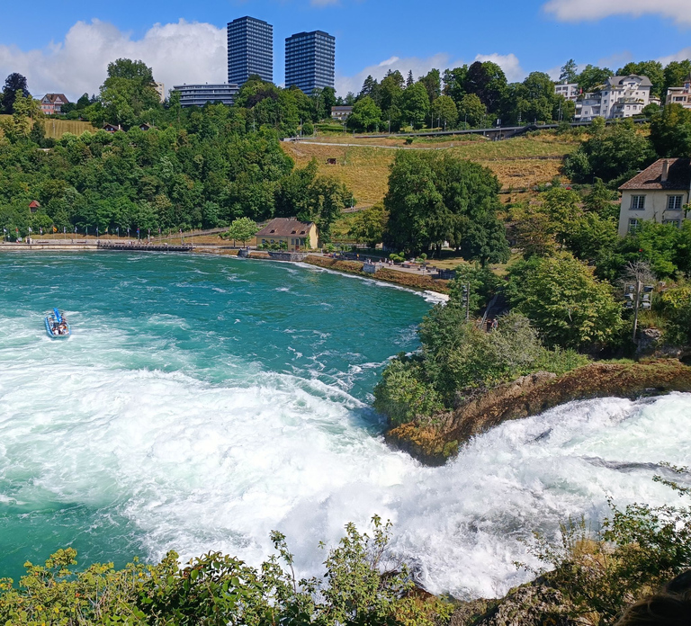Rhine Falls & Stein am Rhein: Private Tour with a Local