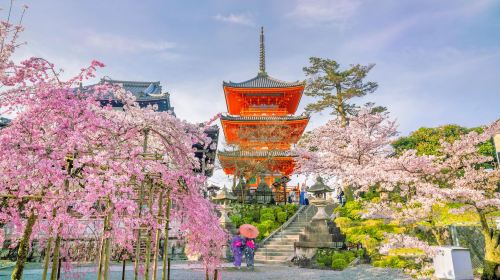 1-Day Tour to Kinkaku-ji, Arashiyama, Sanjūsangendō Temple, and Kiyomizu-dera Temple [Ancient Capital of World Heritage] Day Tours
