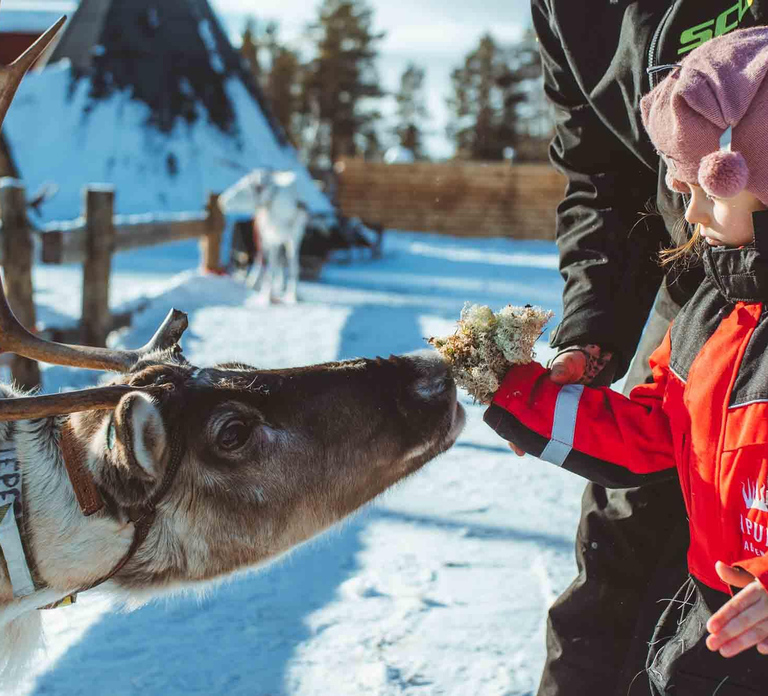 Rovaniemi: Snow Tour with Huskies, Reindeer, & Mini Scooters