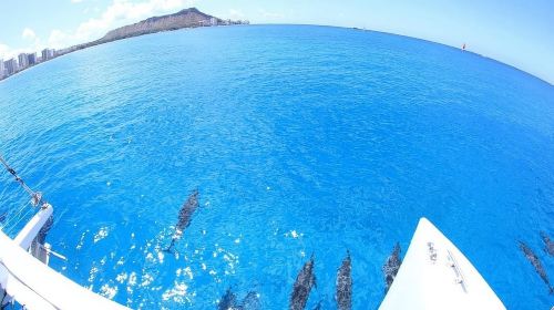 Oahu Hawaii: Honolulu Sailing Tour Day Tours