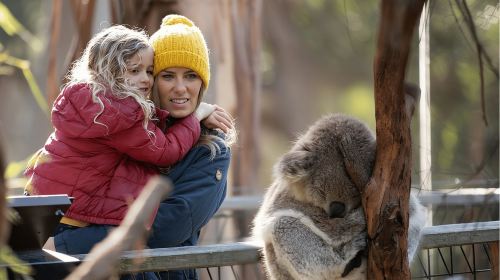 Melbourne: Flexi Pass - Pick 3, 5 or 7 Experiences Day Tours