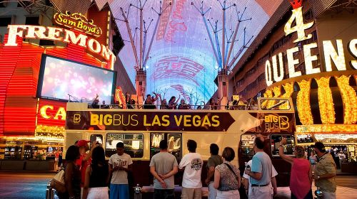Big Bus Las Vegas: Sightseeing Night Tour by Open-Top Bus  Day Tours