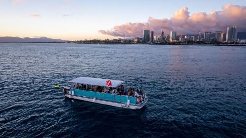 Oahu: Waikiki Whale Watch Boat Tour Day Tours