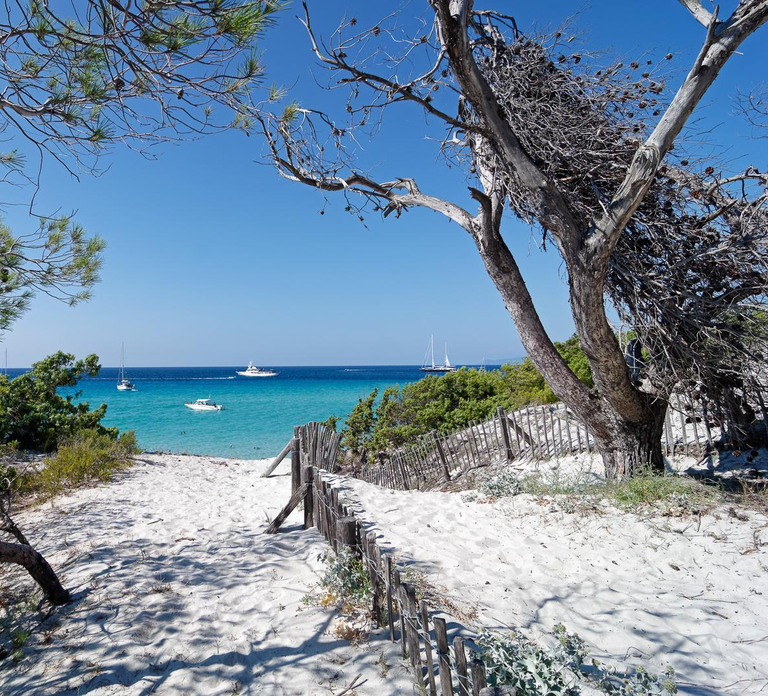 From Calvi: Agriate Guided Jeep Tour to Lotu and Saleccia