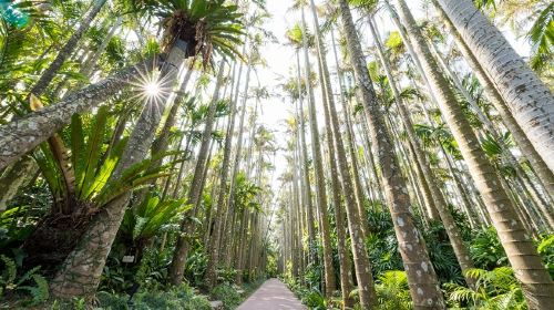 Southeast Botanical Gardens