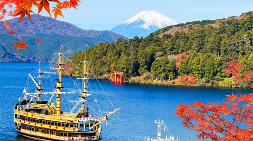 Hakone and Kamakura Dual Destination Tour|1-day tour to Hakone + Hakone Ropeway + Enoshima Day Tours