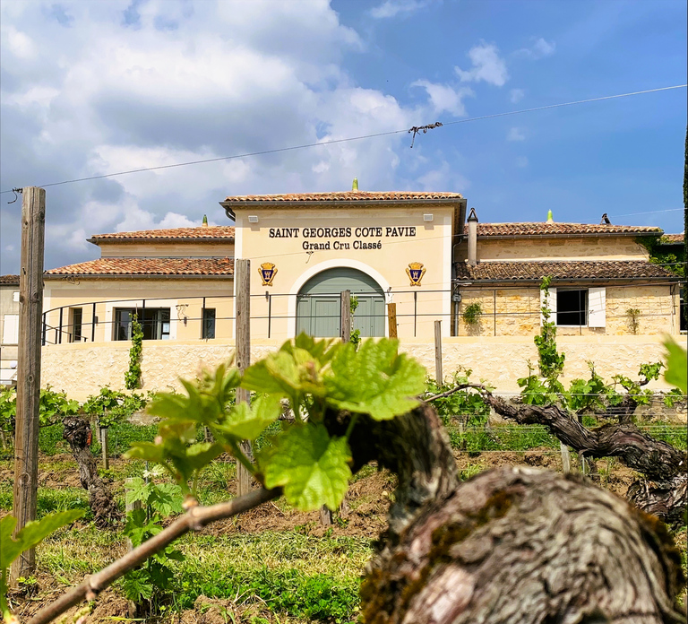 Saint-Émilion: Bordeaux Vineyard Tour and Wine Tasting