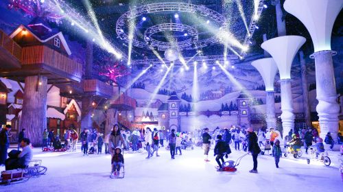 Incheon Gyeonggi Winter Fun One-Day Tour B: Onemount Snow Park(Sled)+Strawberry Picking Experience+Ganghwa Luge+Kimbap Making+Hanbok Experience  Day Tours