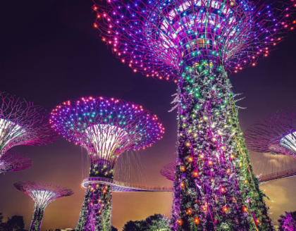 Singapore: Gardens and Satay by The Bay Private Guided Tour - HolidaySG
