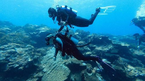 Taitung Orchid Island Experience diving Scuba diving 2 hours [No license required | Orchid Island Experience diving Tour | Including professional instructors, equipment, Insurance, underwater photos]