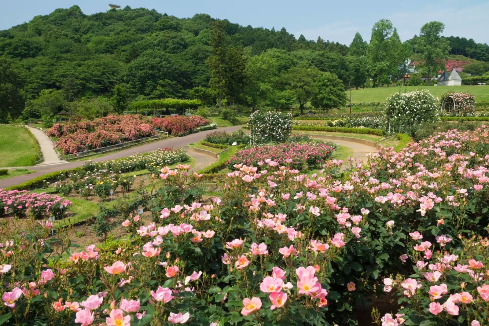 IBARAKI FLOWER PARK