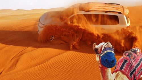 Dubai Popular Desert Safari Day Tour, Premium Dune Bashing + Camel Riding + Dinner + Show + Henna Painting Day Tours