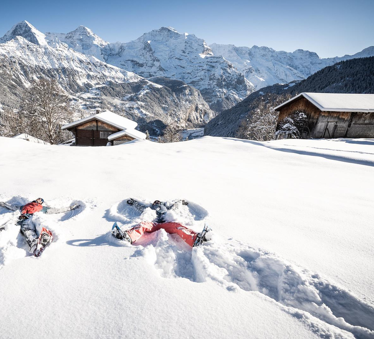 From Interlaken: Guided Snowshoe Tour